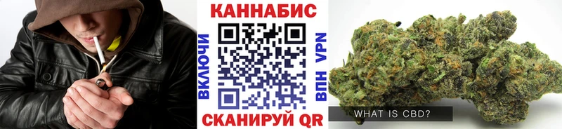 Купить где  Ладушкин  Конопля семена 